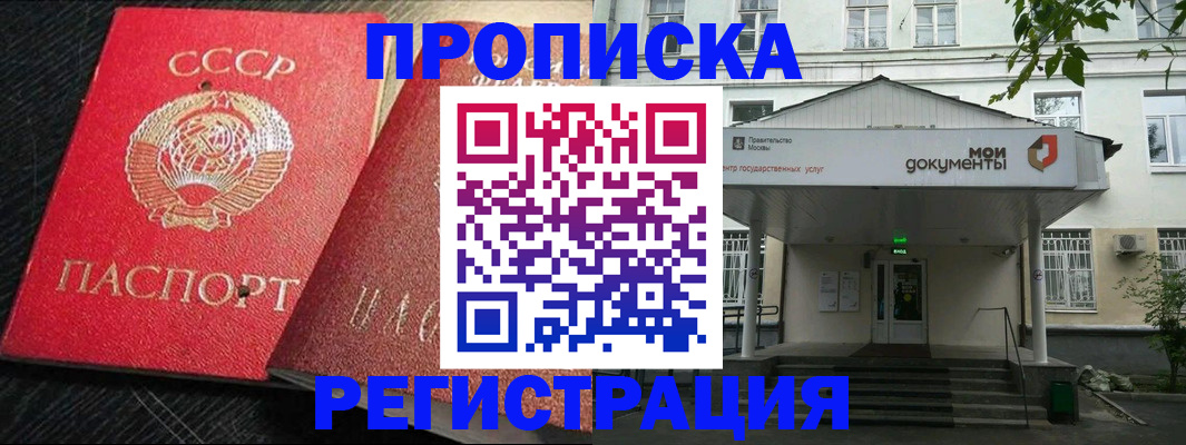 прописка в квартире в Стародубе